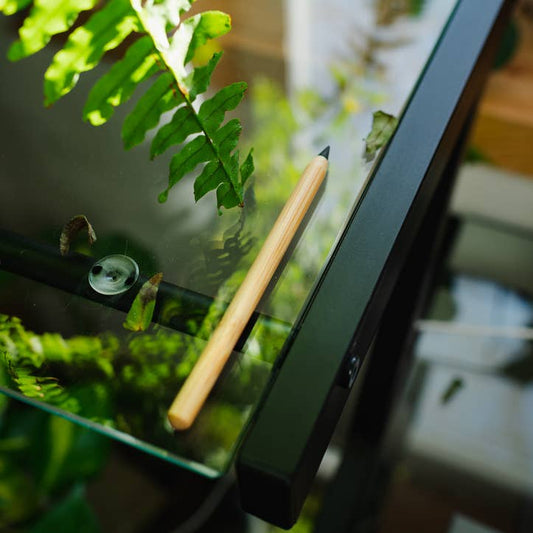 Never Ending Bamboo Pencil