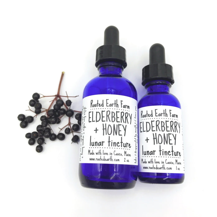 Elderberry + Honey Tincture