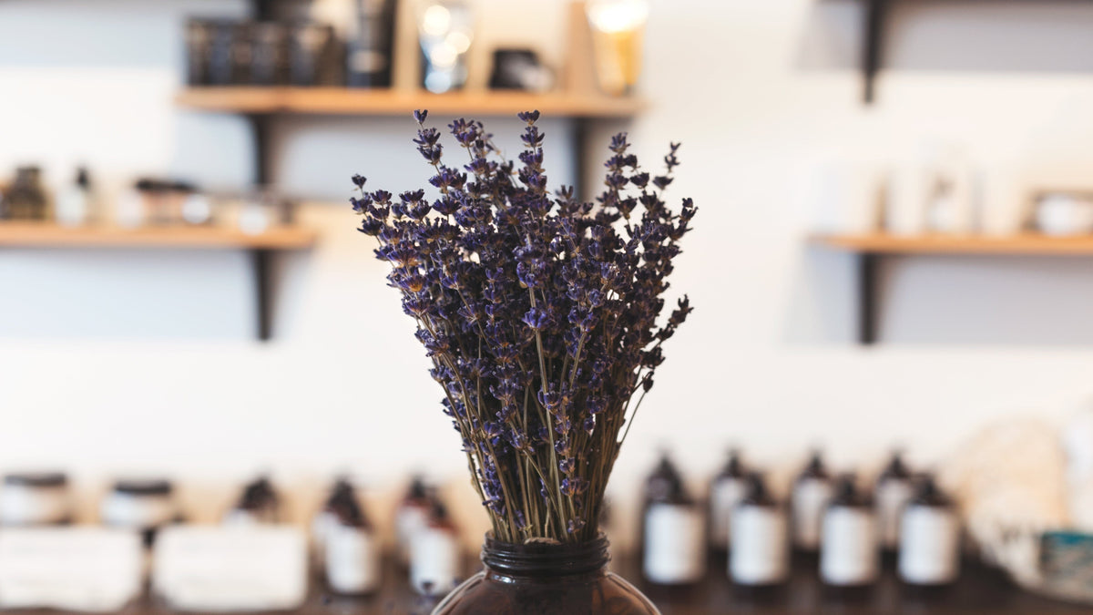 Dried lavender bouquet in a dark vase, with shelves of products blurred in the background.
