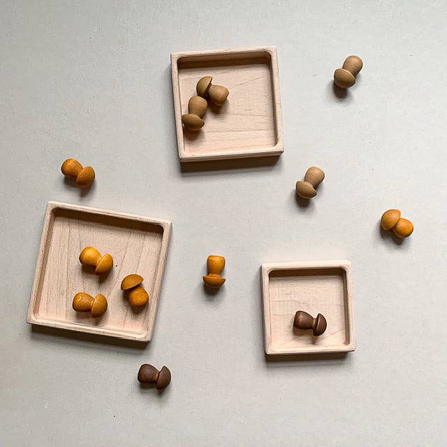 Square Sorting Trays